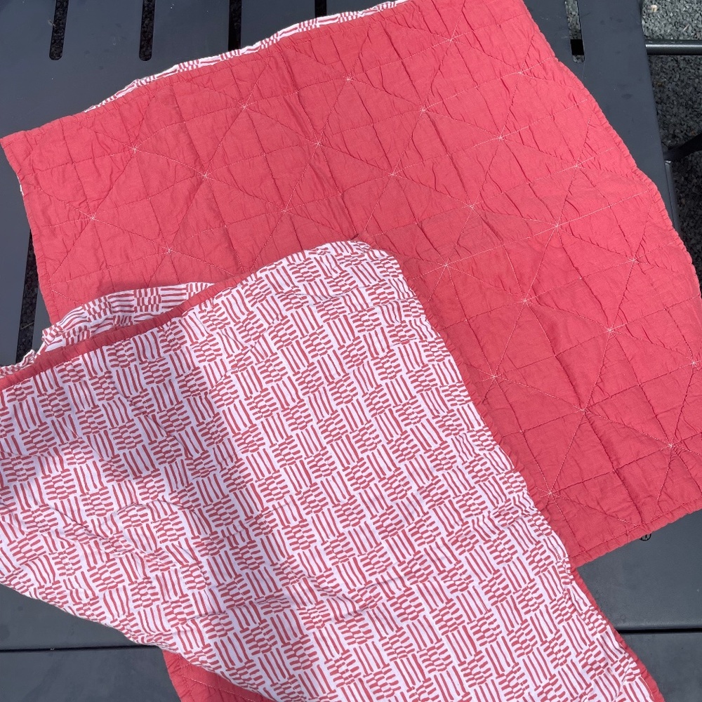 West Elm - Euro Sham Set - Salmon